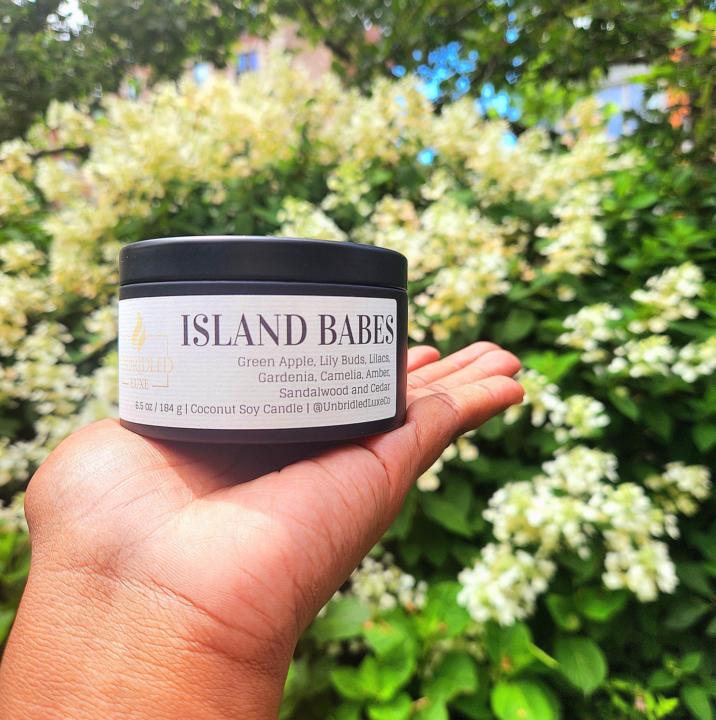 Island Babes ~ 6.5 oz